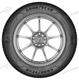 205/55 R16 94V Vector 4Seasons GEN-3 XL PE OP Vector 4Seasons GEN-3 XL PE OP Goodyear 205/55 R16 94V Vector 4Seasons GEN-3 XL PE OP