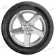 205/55 R16 91T Wintrac Wintrac Vredestein 205/55 R16 91T Wintrac