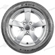 155/65 R14 75T Perfecta Perfecta Sava 155/65 R14 75T Perfecta
